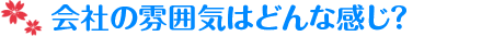 会社の雰囲気はどんな感じ？